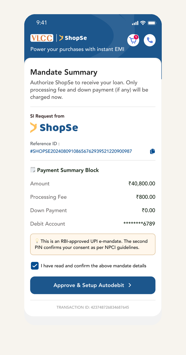 UPI e-mandate summary